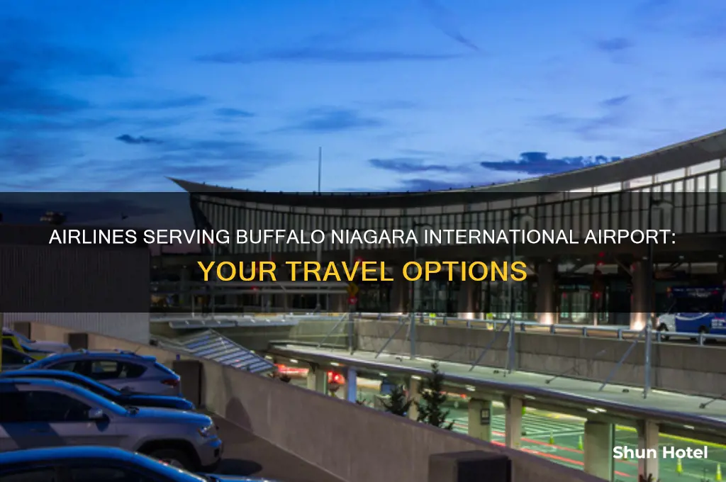 what airlines fly to buffalo niagara international airport