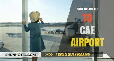 Airlines Serving CAE Airport: Your Comprehensive Flight Options Guide