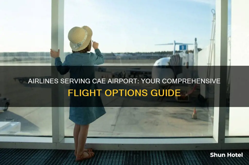 what airlines fly to cae airport
