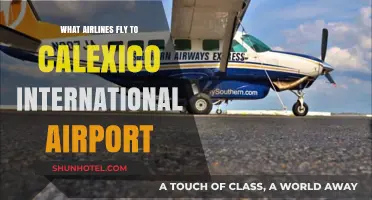 Airlines Serving Calexico International Airport: Your Comprehensive Guide