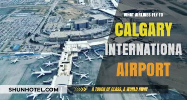 Airlines Serving Calgary International Airport: Your Comprehensive Travel Guide