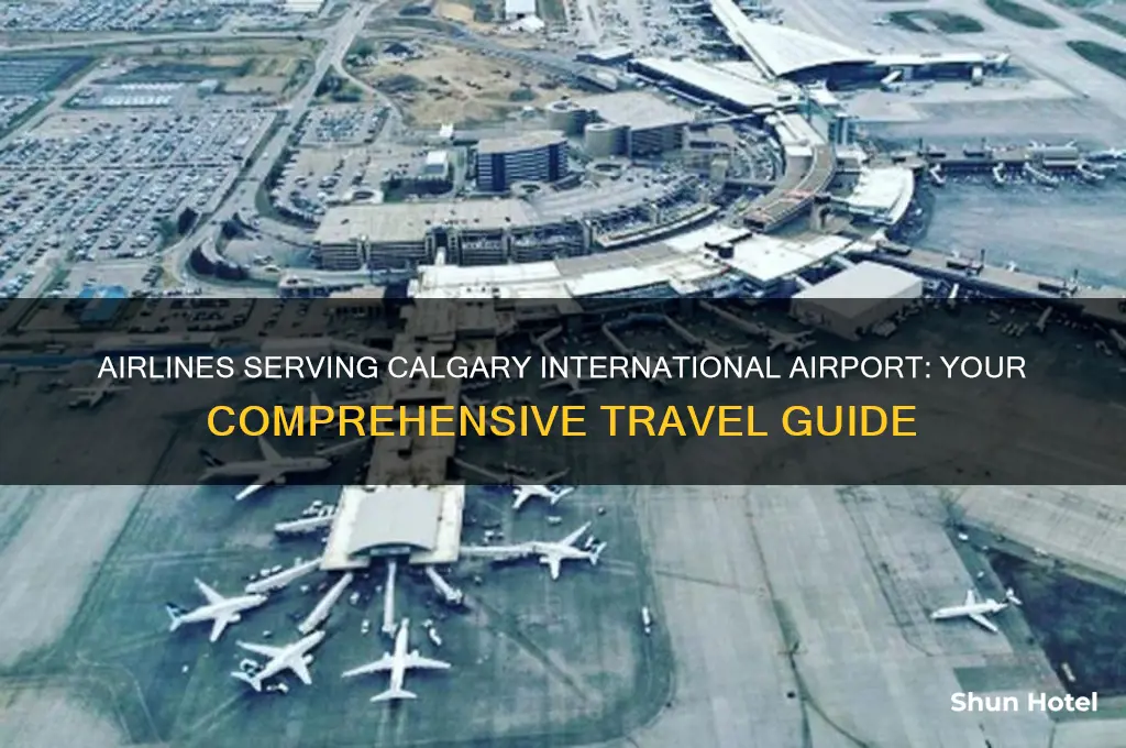 what airlines fly to calgary international airport