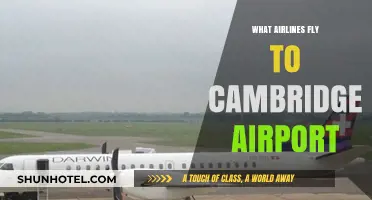 Airlines Serving Cambridge Airport: Your Complete Flight Options Guide