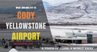 Airlines Serving Cody Yellowstone Airport: Your Gateway to Adventure