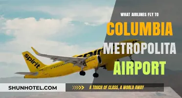 Airlines Serving Columbia Metropolitan Airport: Your Comprehensive Guide