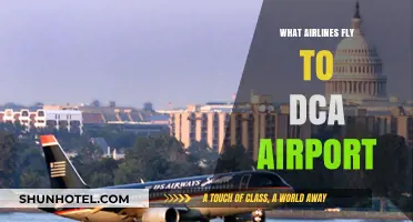 Airlines Serving DCA: Your Guide to Reagan National Airport Flights
