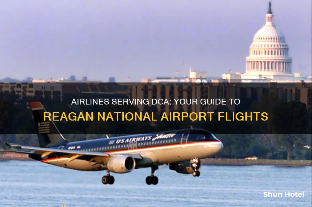 what airlines fly to dca airport