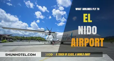 Airlines Serving El Nido Airport: Your Gateway to Palawan's Paradise