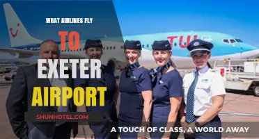 Airlines Serving Exeter Airport: Your Comprehensive Flight Guide