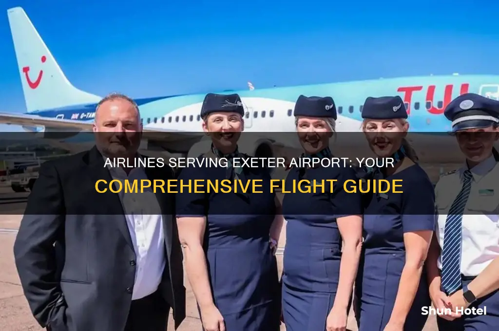 what airlines fly to exeter airport