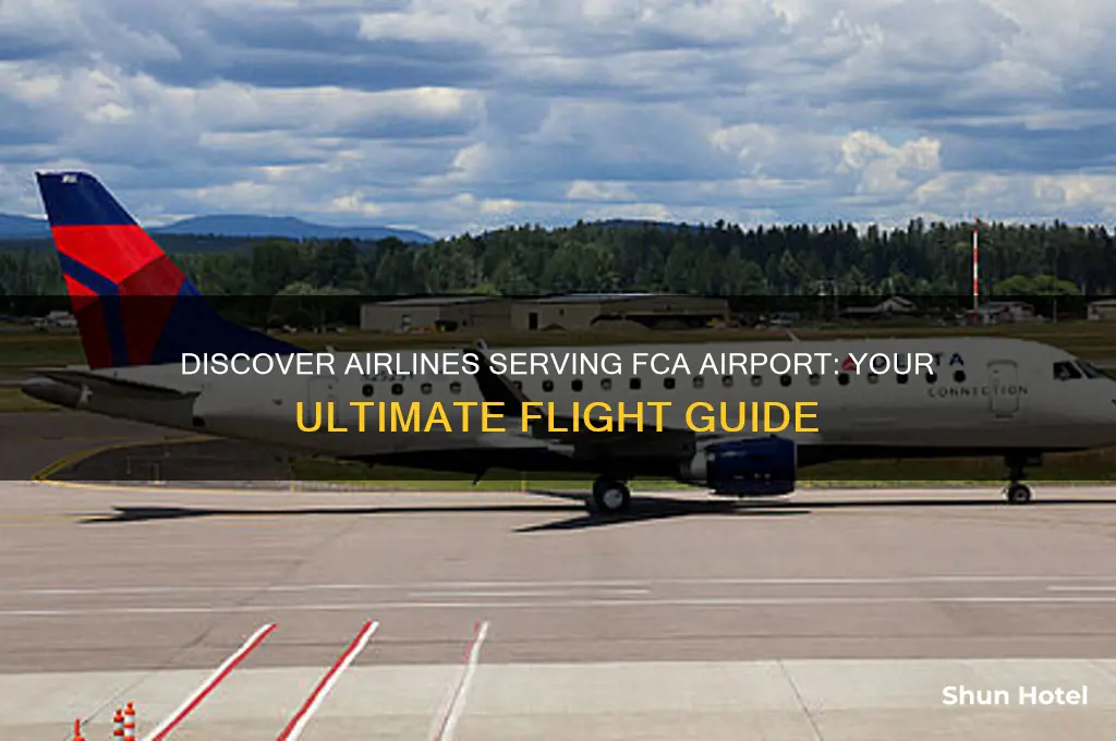 what airlines fly to fca airport