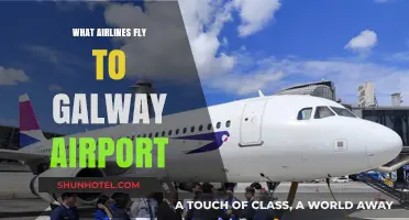 Airlines Serving Galway Airport: Your Complete Flight Options Guide