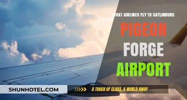 Airlines Serving Gatlinburg-Pigeon Forge Airport: Your Travel Options