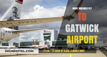 Airlines Serving Gatwick: Your Comprehensive Guide to Carriers and Routes