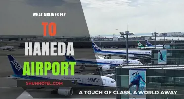 Airlines Serving Haneda: Your Comprehensive Guide to Tokyo Flights