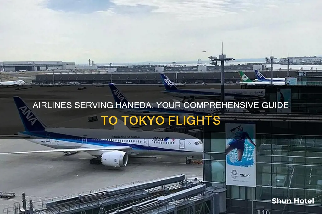 what airlines fly to haneda airport