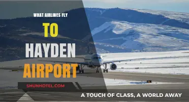 Airlines Serving Hayden Airport: Your Complete Guide to Flights
