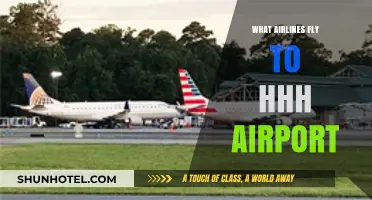 Airlines Serving HHH Airport: Your Comprehensive Flight Guide