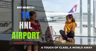 Airlines Serving HNL Airport: Your Complete Guide to Flights