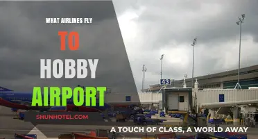 Airlines Serving Hobby Airport: Your Comprehensive Guide to Carriers