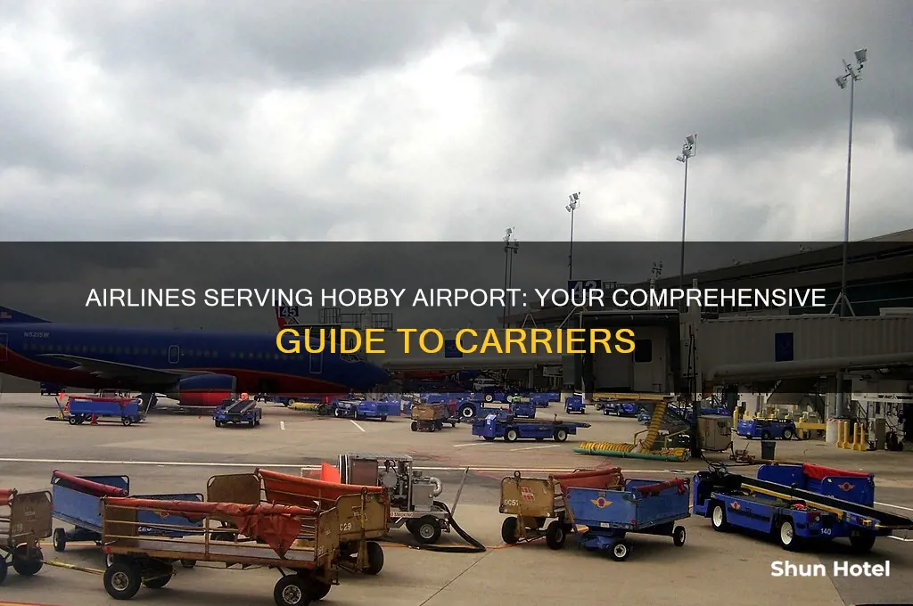 what airlines fly to hobby airport