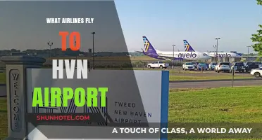 Discover Airlines Serving HVN Airport: Your Ultimate Travel Guide