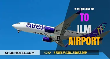 Airlines Serving ILM Airport: Your Comprehensive Flight Guide