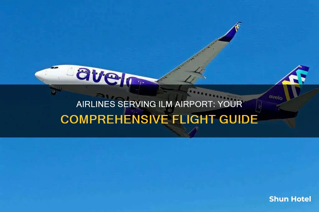 what airlines fly to ilm airport