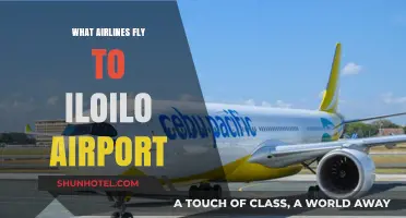 Airlines Serving Iloilo Airport: Your Complete Guide to Flights