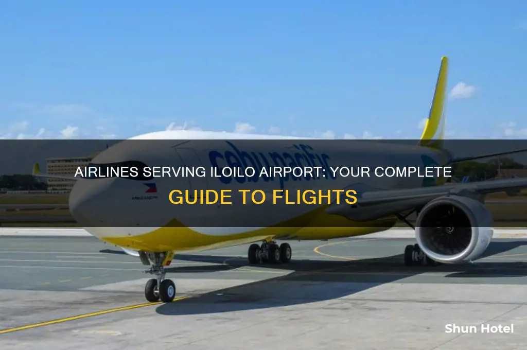what airlines fly to iloilo airport