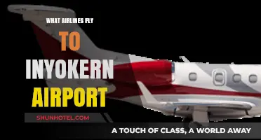 Airlines Serving Inyokern Airport: Your Comprehensive Flight Guide