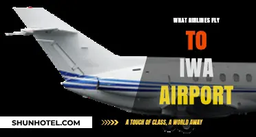 Discover Airlines Serving Iwa Airport: Your Ultimate Travel Guide