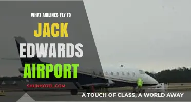 Airlines Serving Jack Edwards Airport: Your Comprehensive Flight Guide