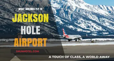 Airlines Serving Jackson Hole Airport: Your Ultimate Travel Guide