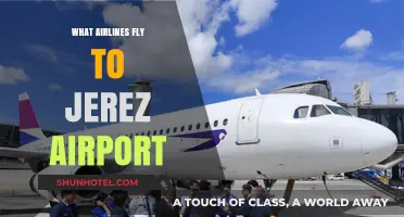 Airlines Serving Jerez Airport: Your Comprehensive Flight Guide