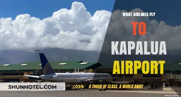 Discover Airlines Serving Kapalua Airport: Your Ultimate Travel Guide