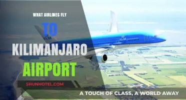 Airlines Serving Kilimanjaro Airport: Your Gateway to Tanzania's Adventure Hub
