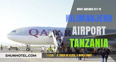 Airlines Serving Kilimanjaro Airport Tanzania: Your Ultimate Travel Guide