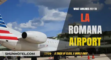 Airlines Serving La Romana Airport: Your Complete Travel Guide