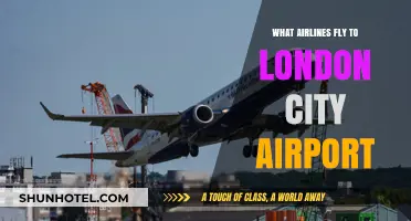 Airlines Serving London City Airport: Your Comprehensive Flight Guide