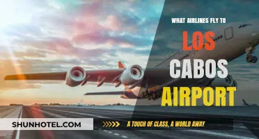 Airlines Serving Los Cabos Airport: Your Ultimate Travel Guide
