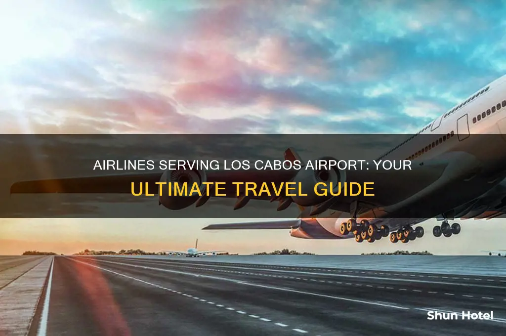 what airlines fly to los cabos airport