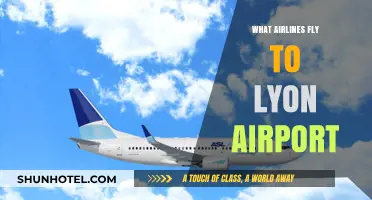 Airlines Serving Lyon Airport: Your Comprehensive Flight Guide