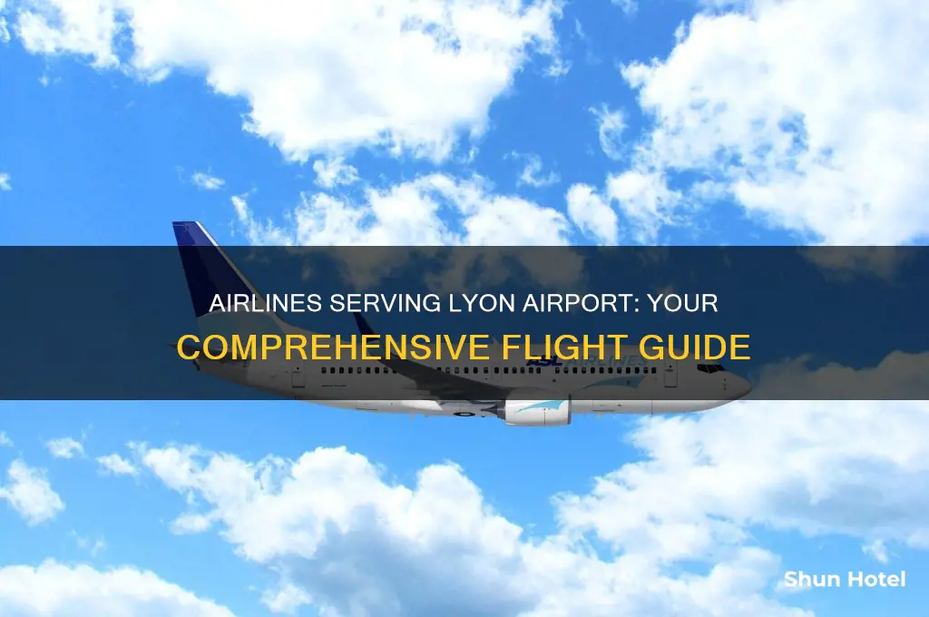 what airlines fly to lyon airport