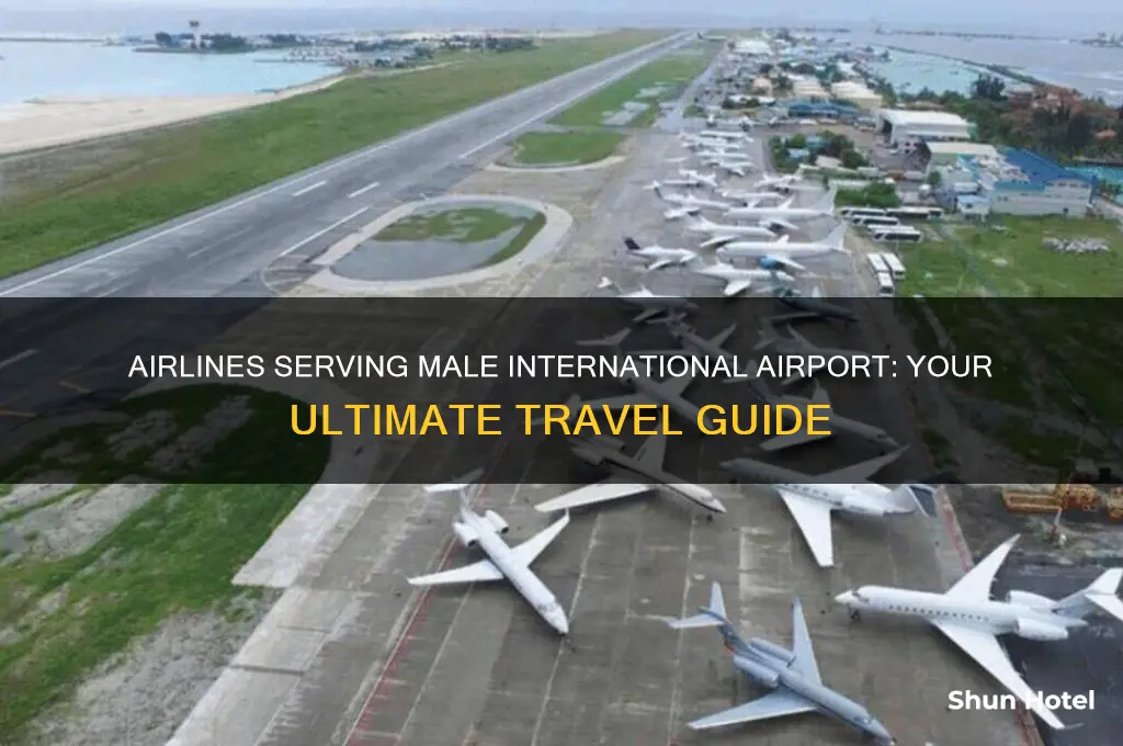 what airlines fly to male international airport