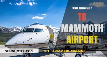 Airlines Serving Mammoth Airport: Your Ultimate Travel Guide