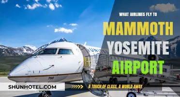 Airlines Serving Mammoth Yosemite Airport: Your Ultimate Travel Guide