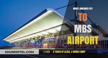 Airlines Serving MBS Airport: Your Complete Guide to Flights
