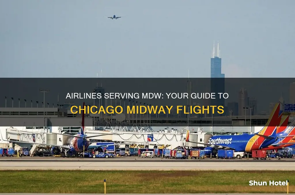 what airlines fly to mdw airport