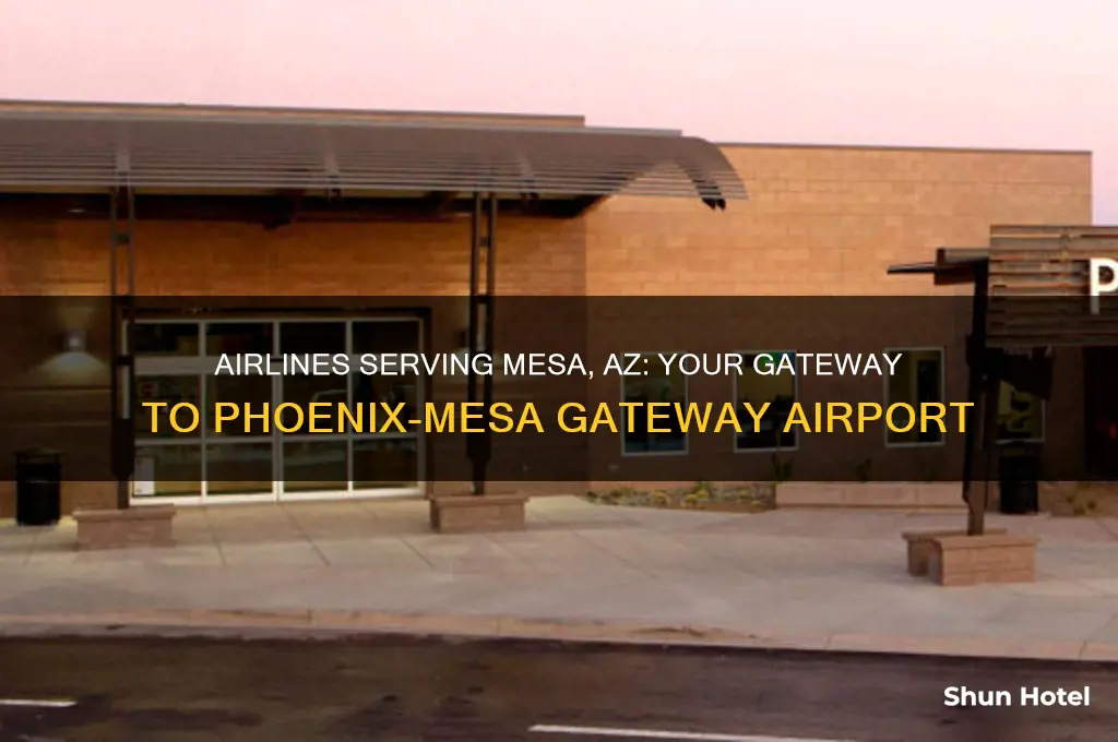 what airlines fly to mesa az airport